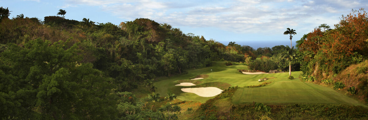 Apes Hill Golf No. 12
