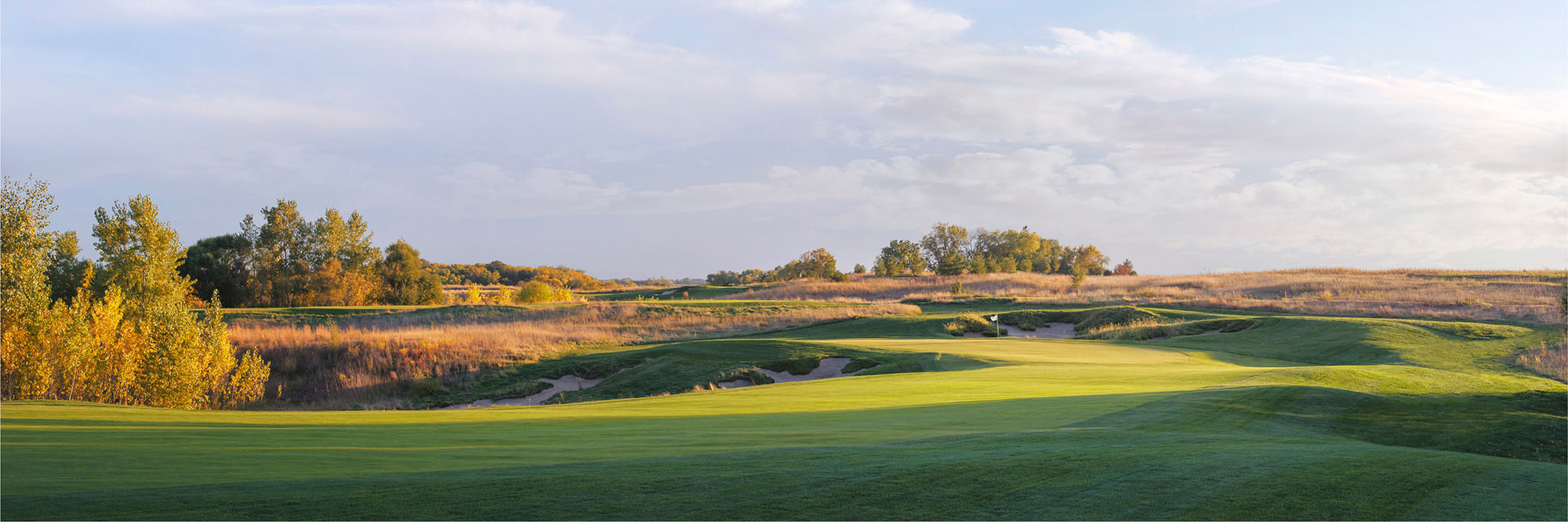 Arbor Links No. 5