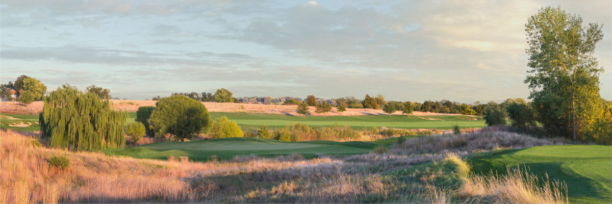 Arbor Links No. 6