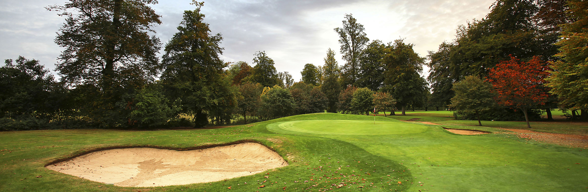 Badgemore Park Golf Club No. 15