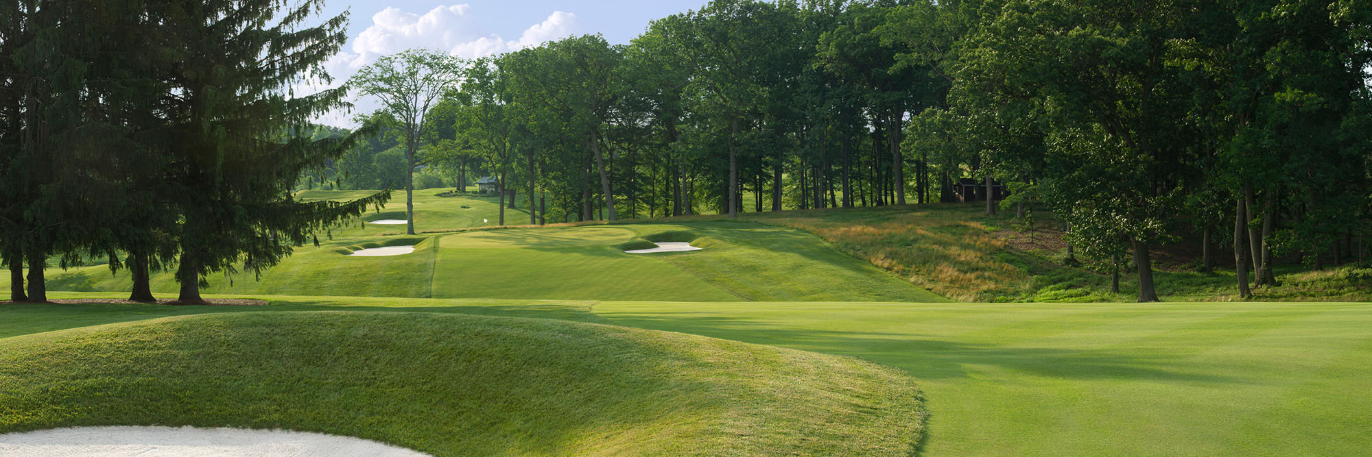 Baltimore Country Club No. 15