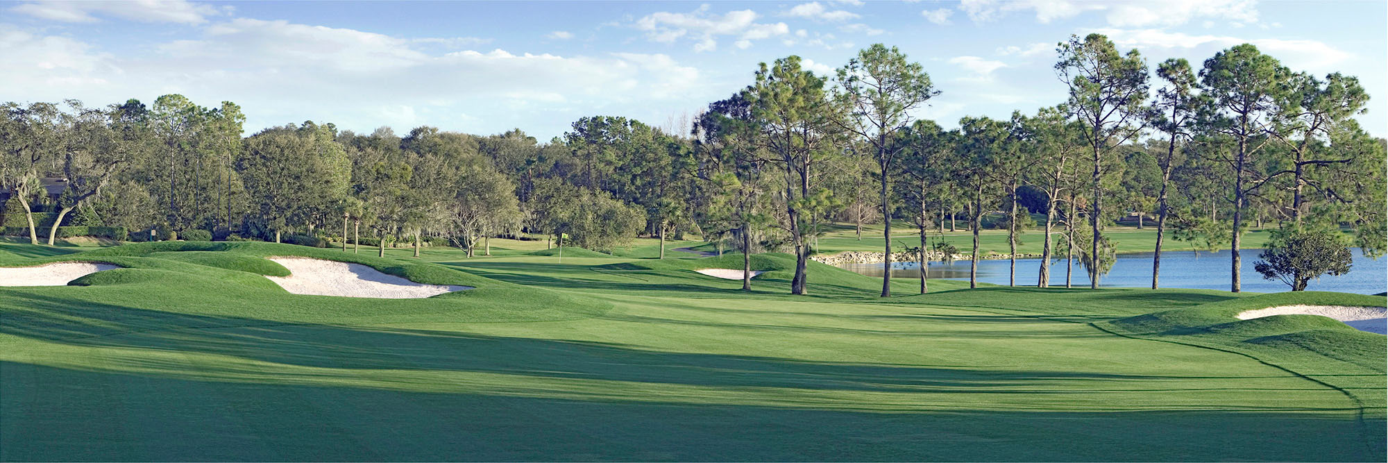 Bay Hill No. 5