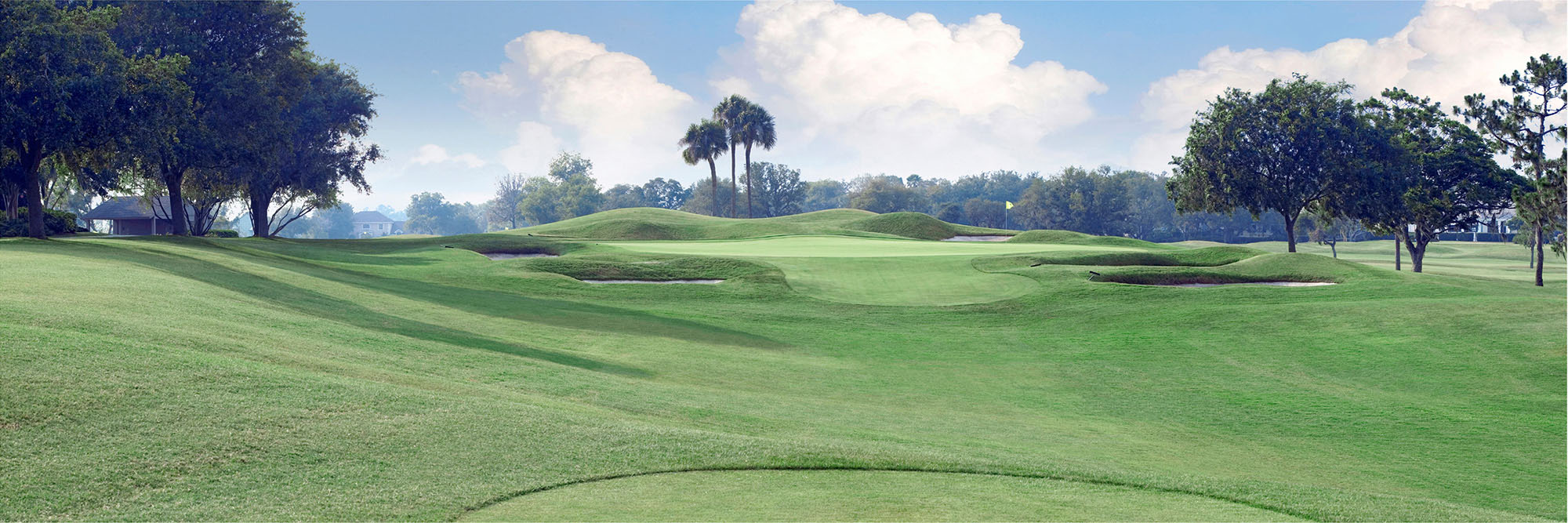 Bay Hill No. 7