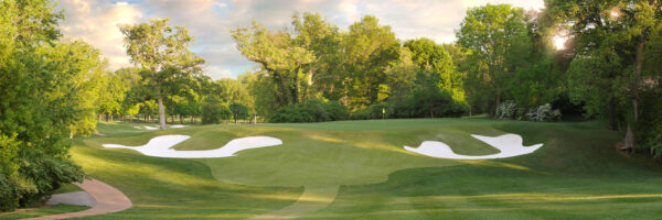 Full canvas image of golf course.