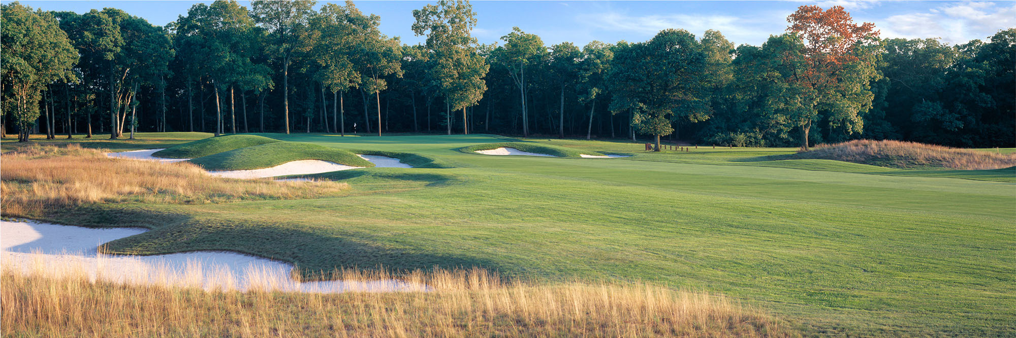 Bethpage No. 11