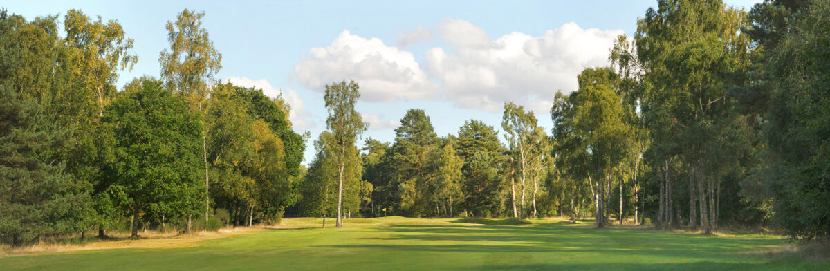 Blairgowrie Rosemount No. 9