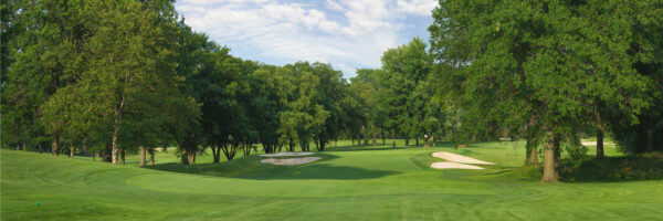 Full canvas image of golf course.