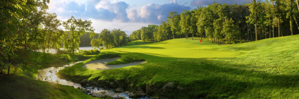 Full canvas image of golf course.