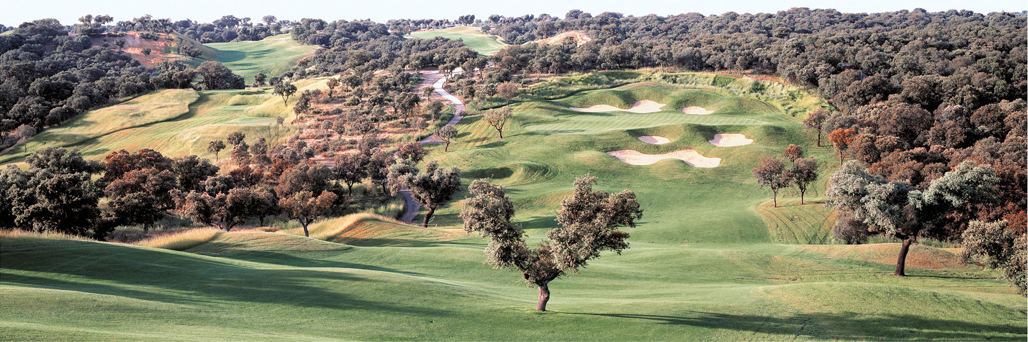 Club de Campo No. 8