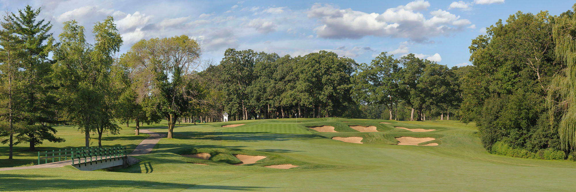 Cog Hill 4 No. 8