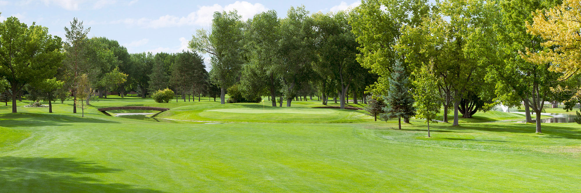 Columbine Country Club No. 5