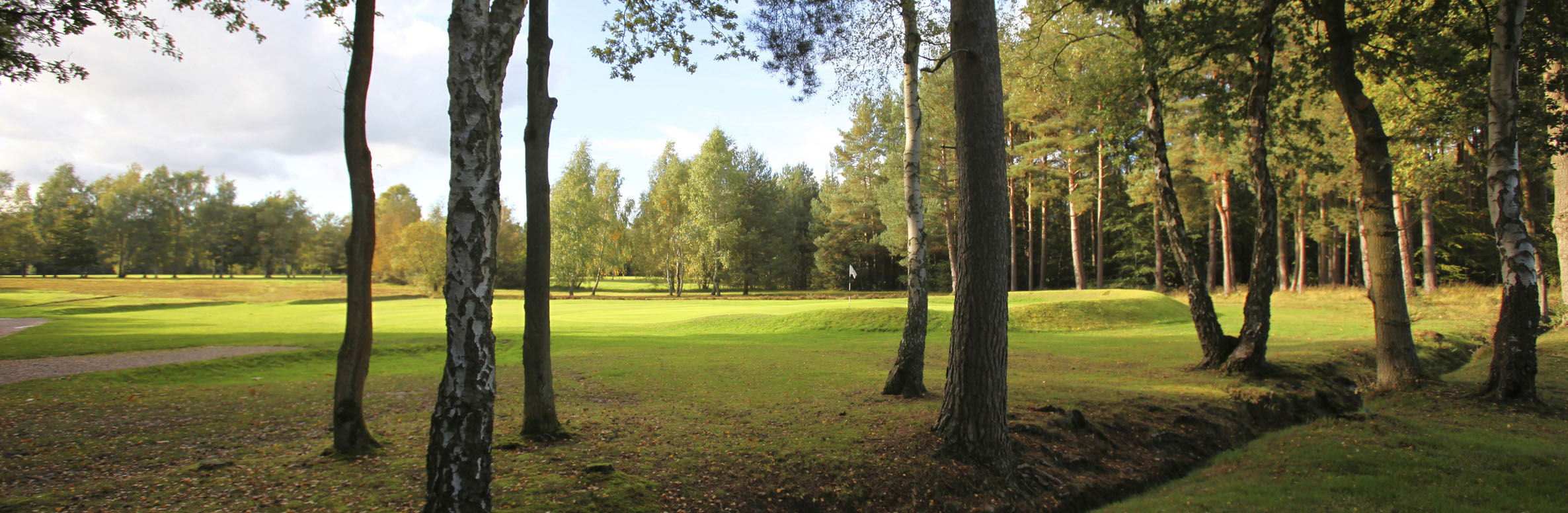 Golf Course Image - Copthorne Golf Club No. 3