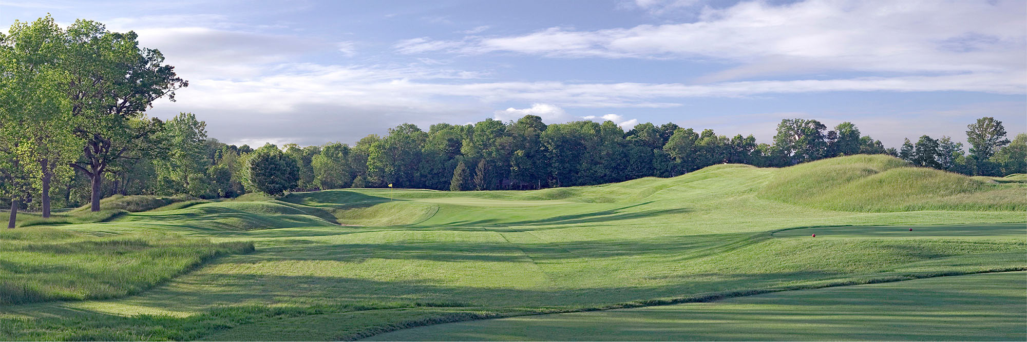 Crooked Stick No. 17