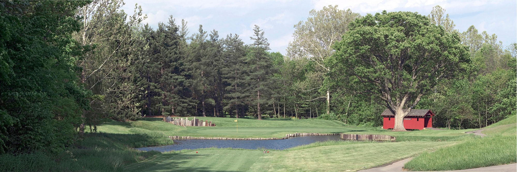 Crooked Stick No. 6