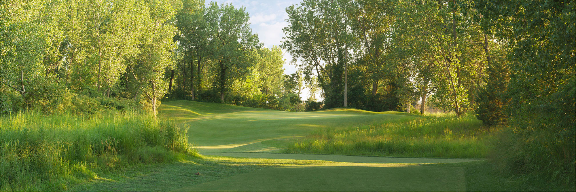 Dakota Dunes No. 14