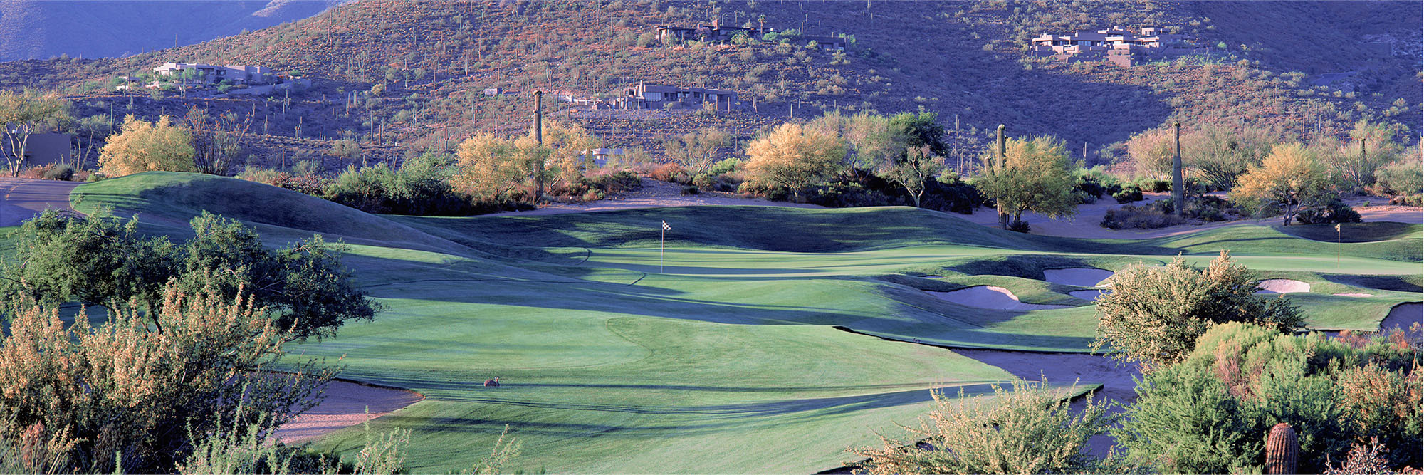 Desert Mountain Renegade No. 14