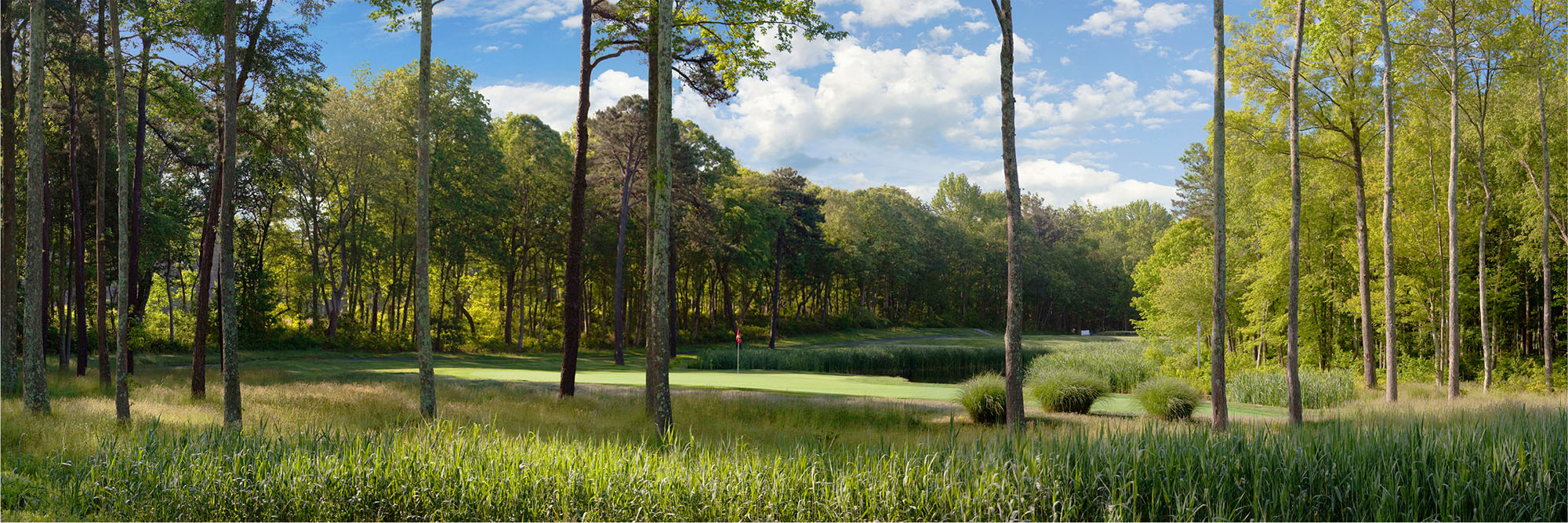 Eagle Oaks Golf & Country Club No. 8