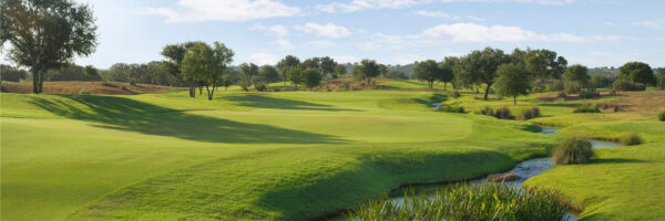 Full canvas image of golf course.