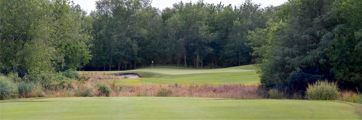 Flint Hills National Golf Club No. 8