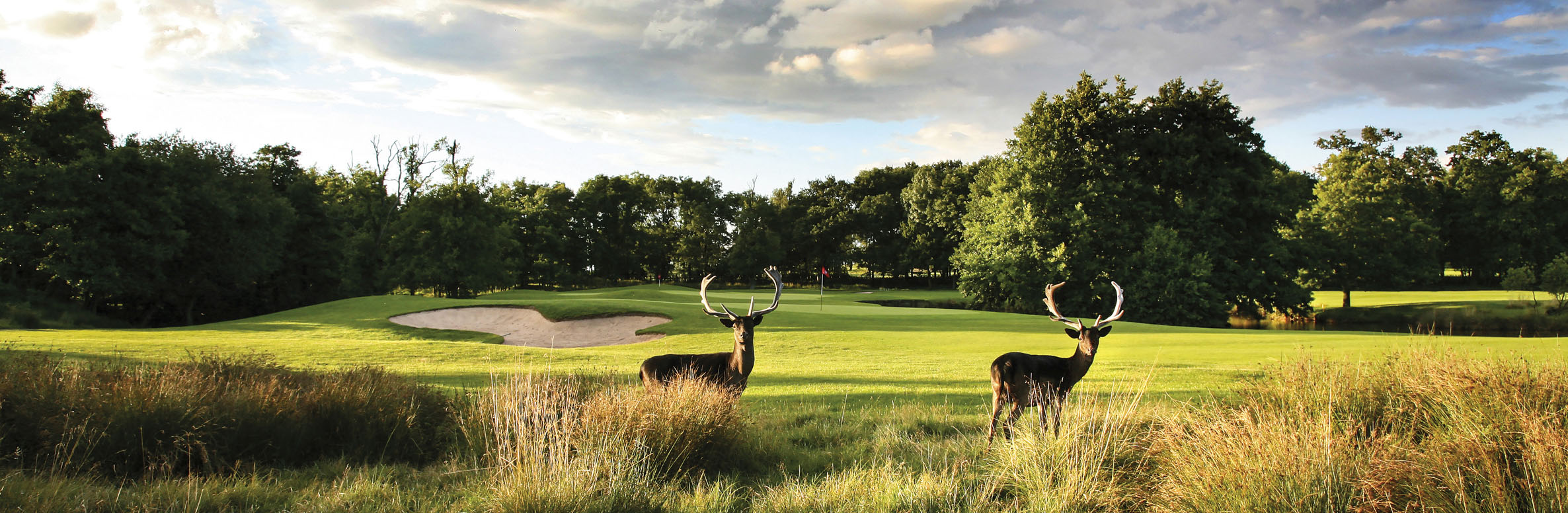 Forest of Arden Country Club Arden Course