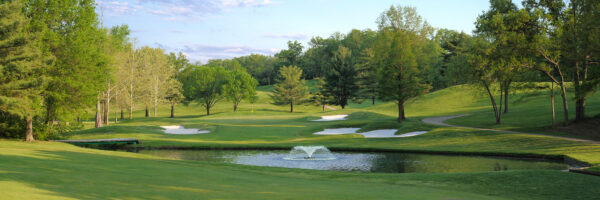 Full canvas image of golf course.