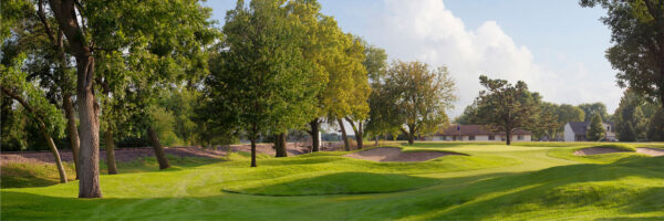 Full canvas image of golf course.