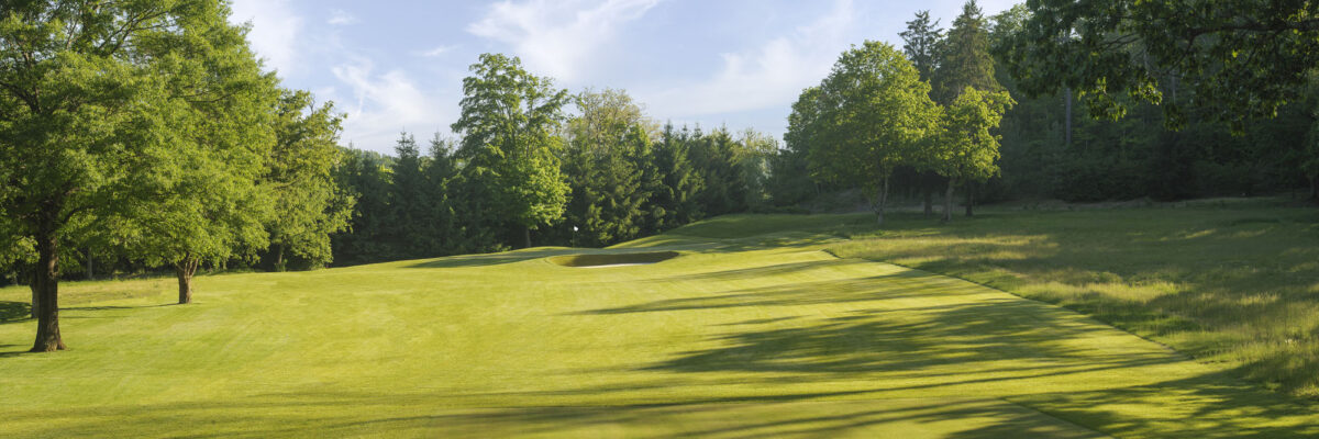 The Greenbrier Meadows Course No. 3