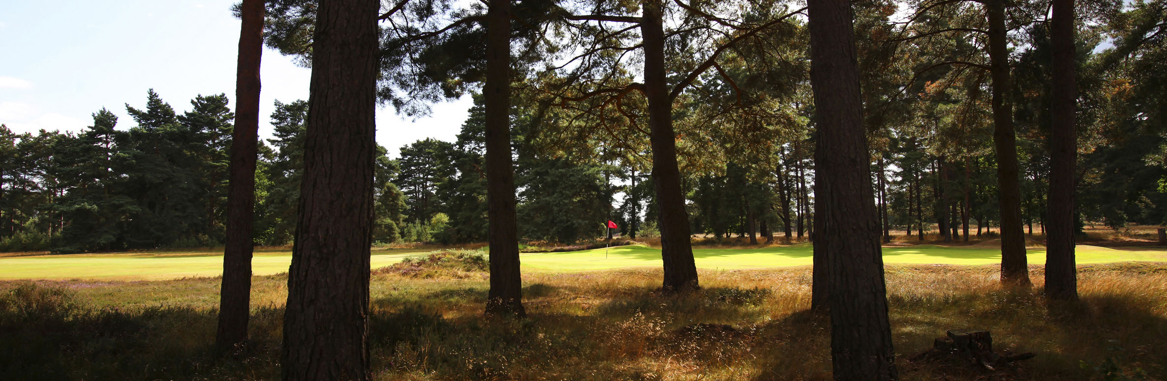 Hankley Common Golf Club No. 8