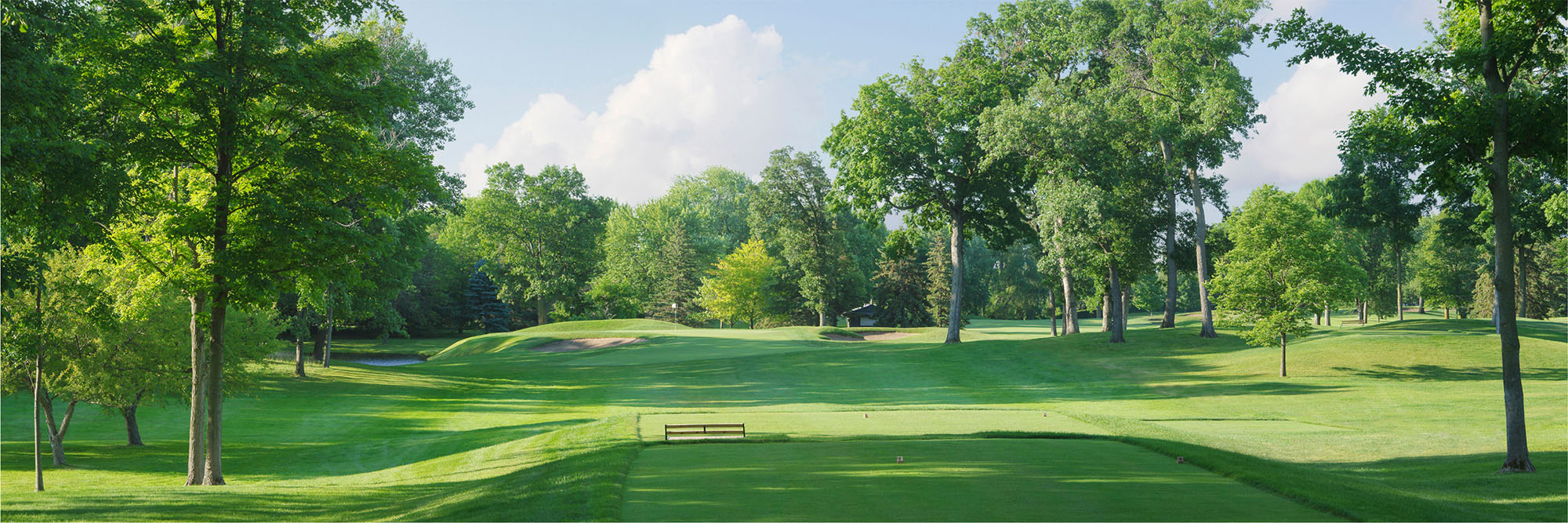 Hazeltine No. 13