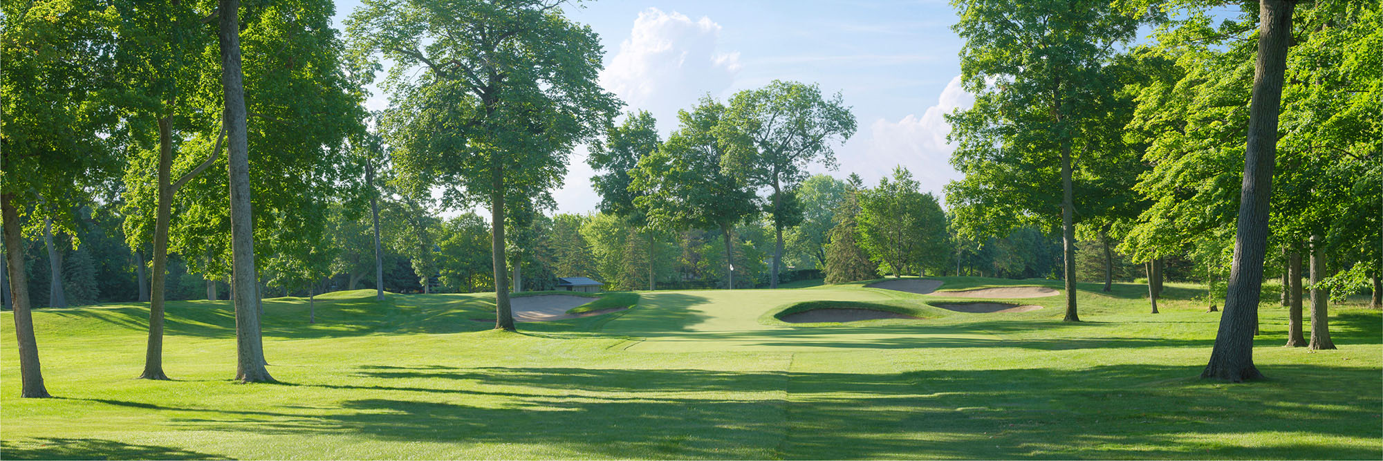 Hazeltine No. 4