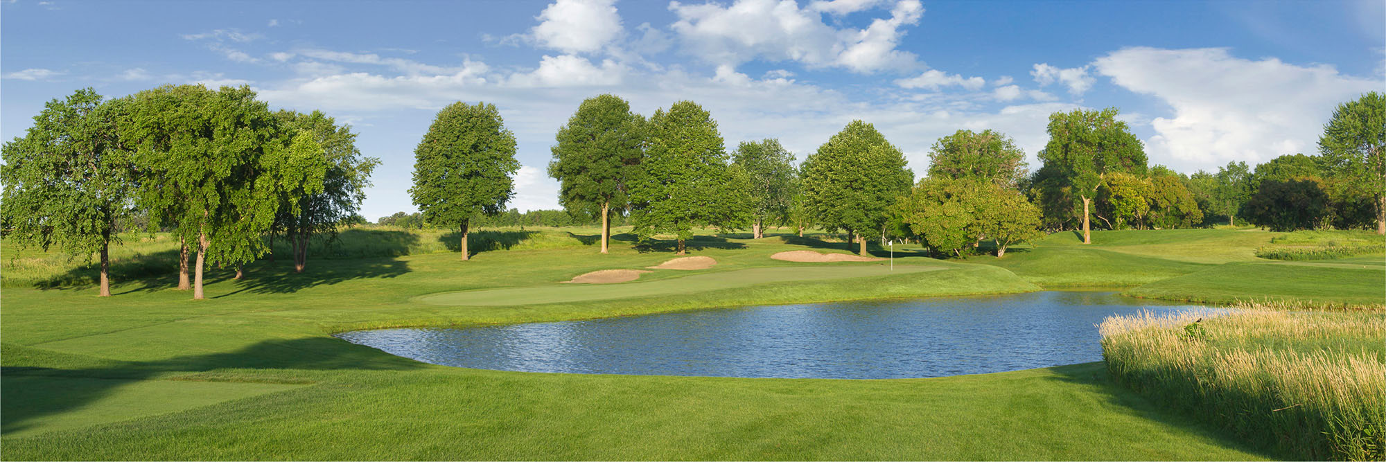 Hazeltine No. 8