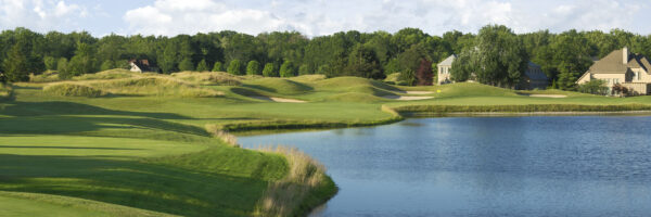 Full canvas image of golf course.