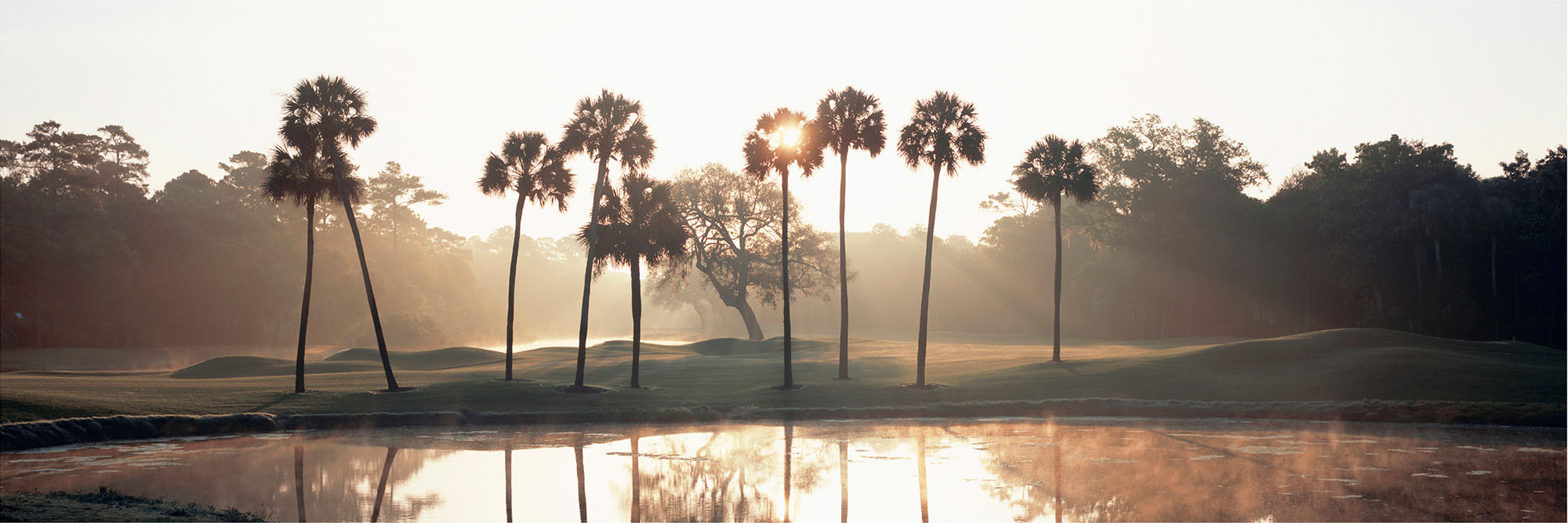 Kiawah Cougar Point No. 17