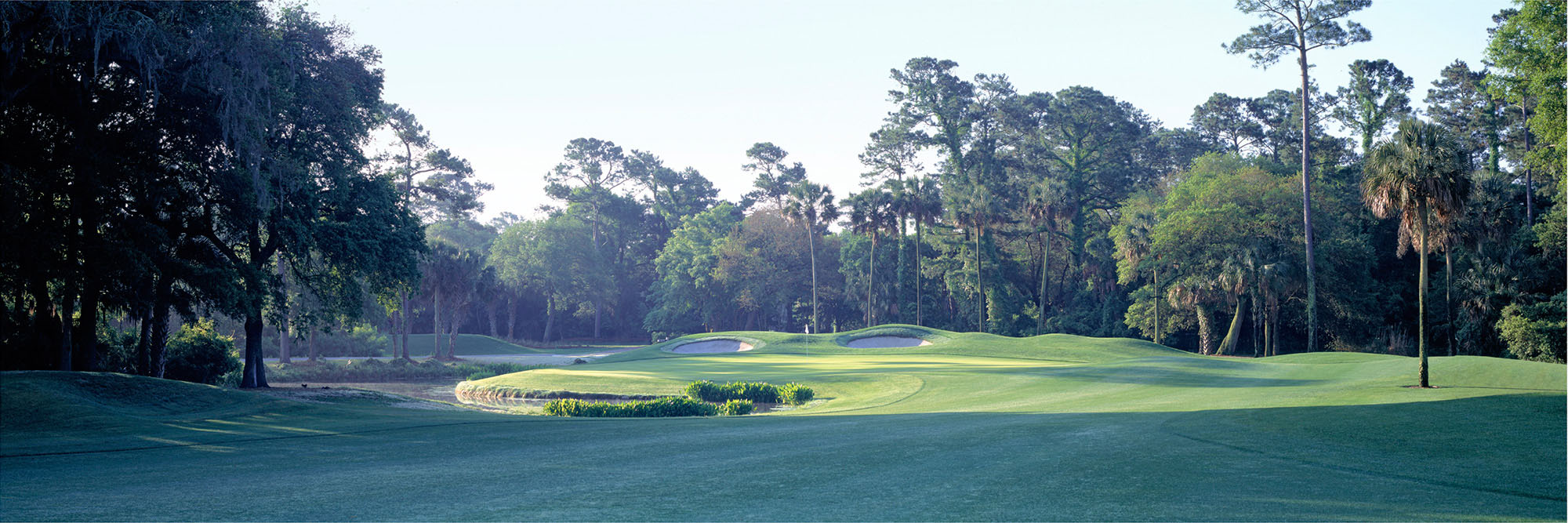 Kiawah Cougar Point No. 7