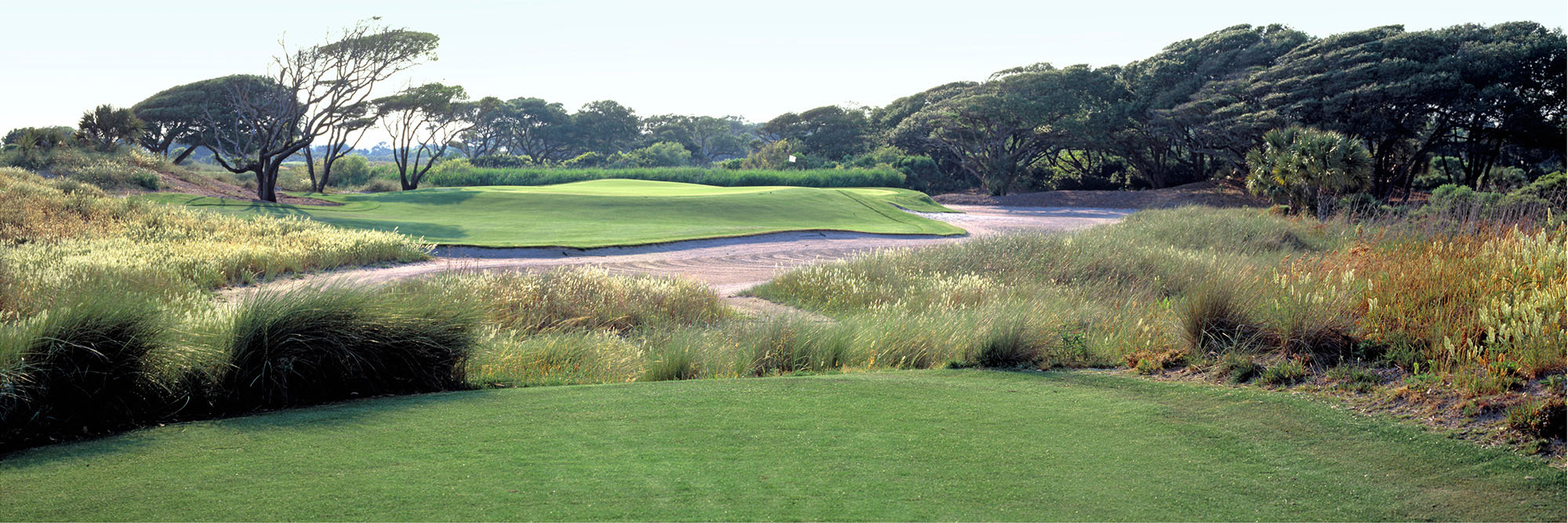 Kiawah Ocean Course No. 8