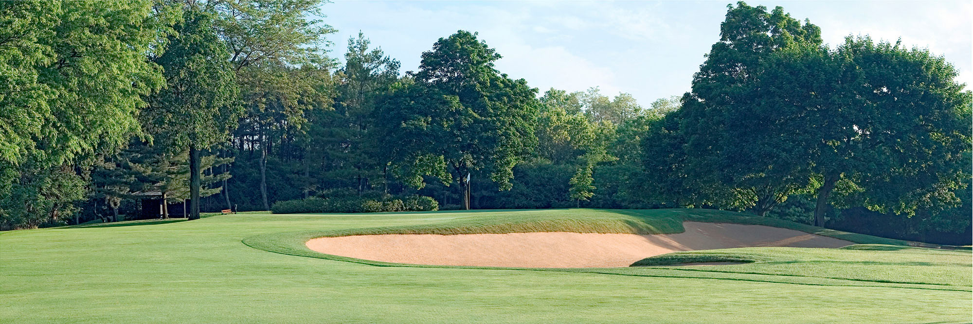 Knollwood No. 15