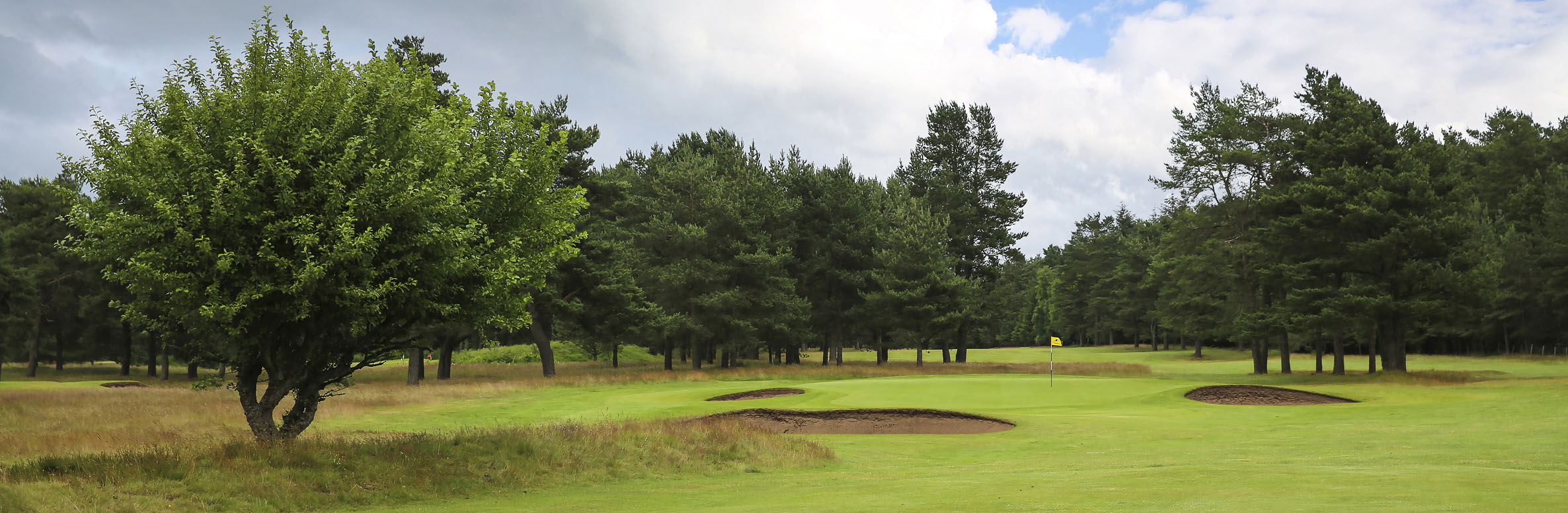 Ladybank Golf Club No. 1