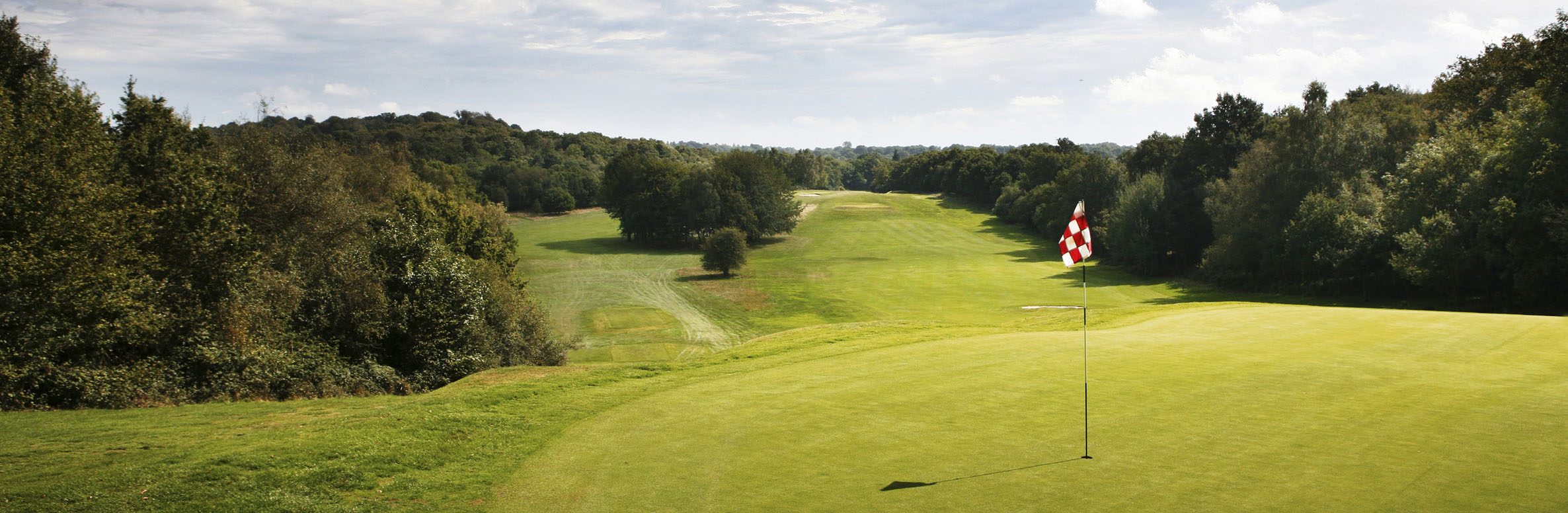 Golf Course Image - Mannings Heath Golf Club No. 13