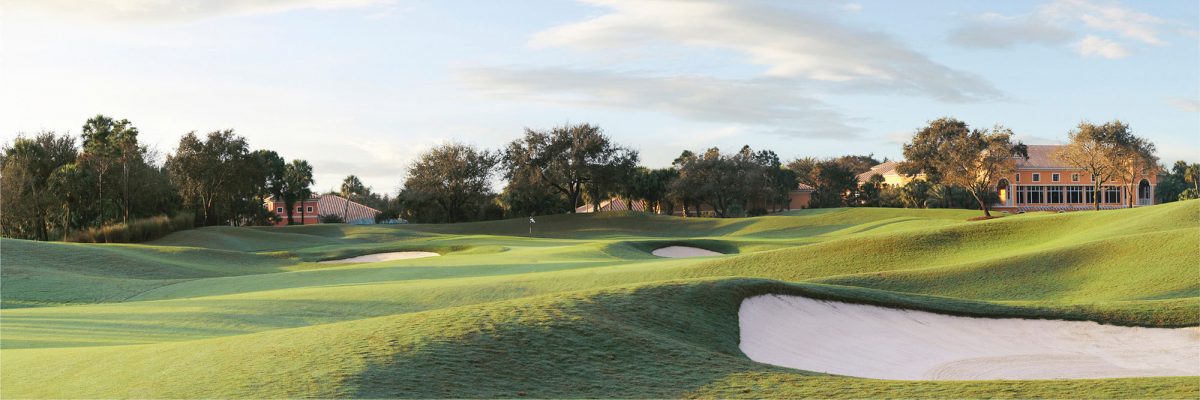 Mirasol Sunrise No. 18