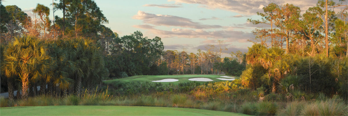 Mirasol Sunset No. 16