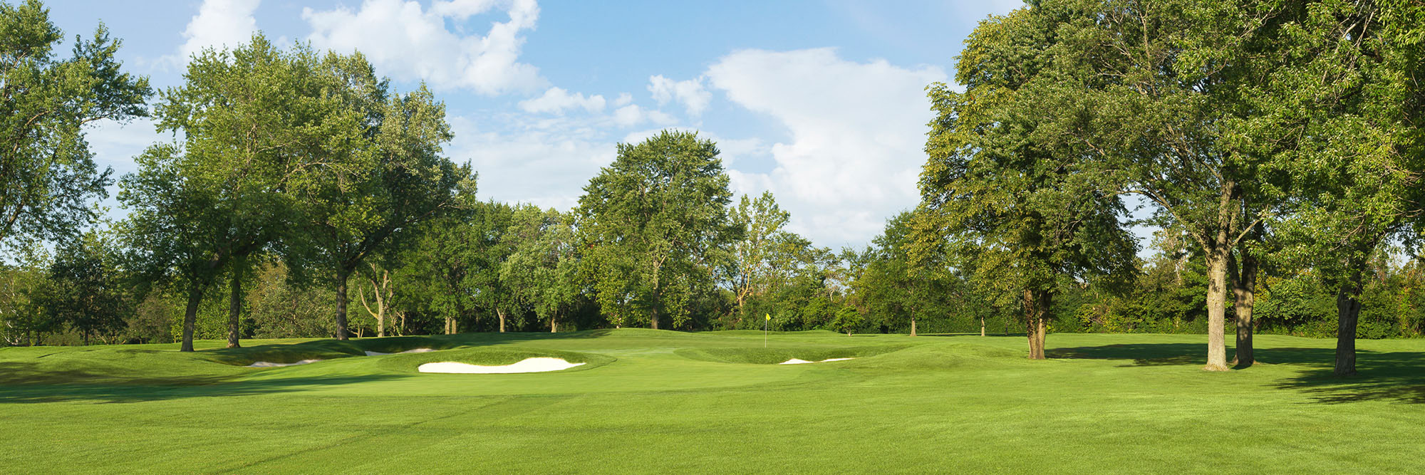 Olympia Fields North No. 8