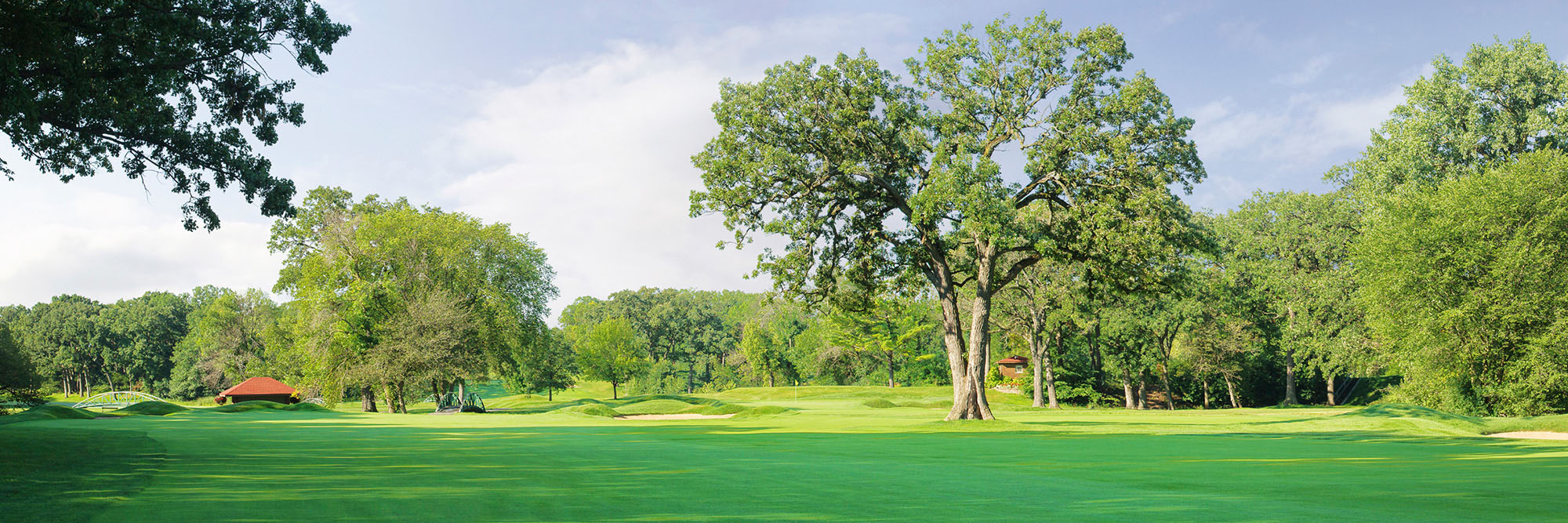 Olympia Fields South No. 11