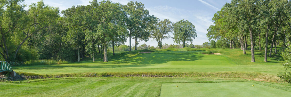 Olympia Fields South No. 12