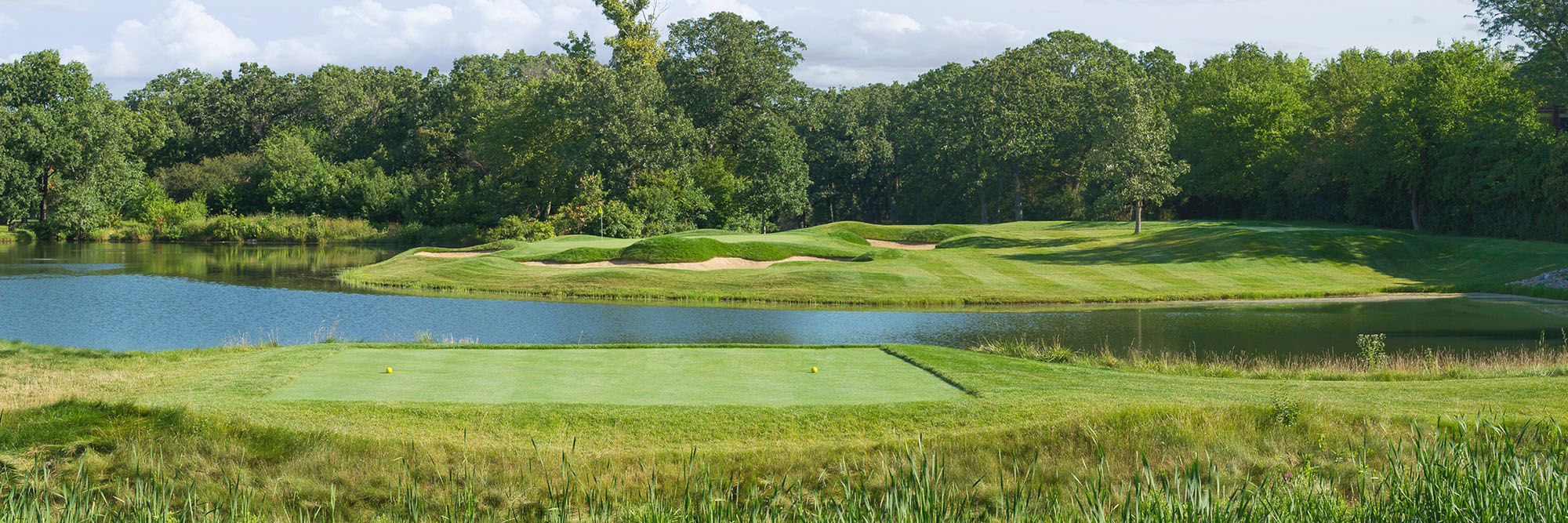 Olympia Fields South No. 14