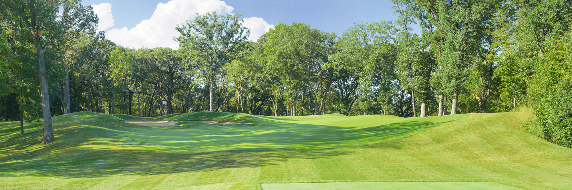 Olympia Fields South No. 3