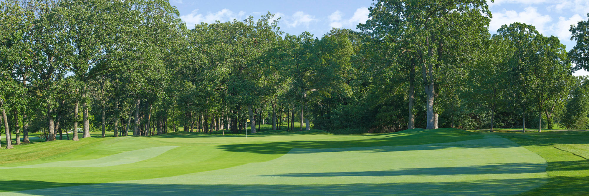 Olympia Fields South No. 5