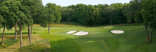 Full canvas image of golf course.