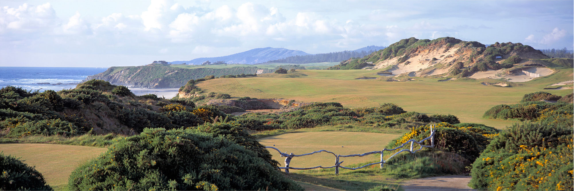 Pacific Dunes No. 13