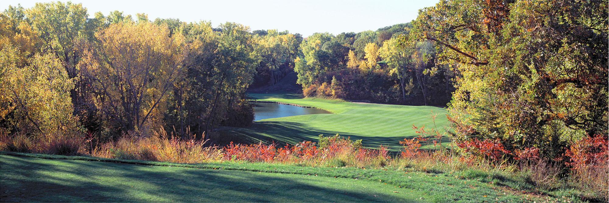 Quarry Oaks No. 17