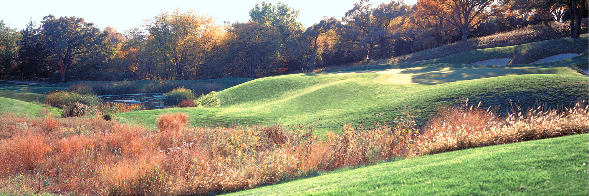 Quarry Oaks No. 8